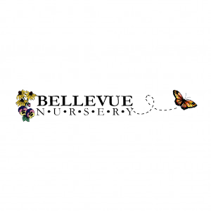 Bellevue Nursery