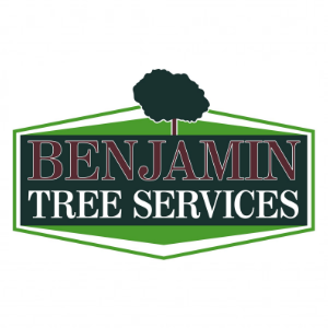 Benjamin Tree Services Corp.