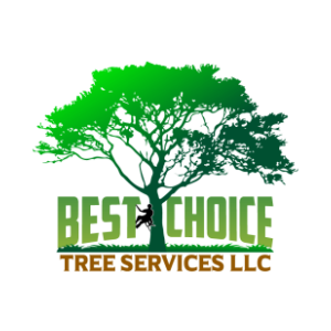 Best Choice Tree Services LLC