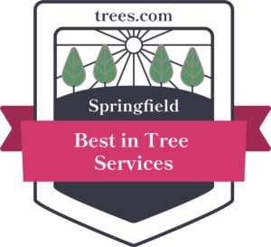Best Tree Services in Springfield, Massachusetts Badge
