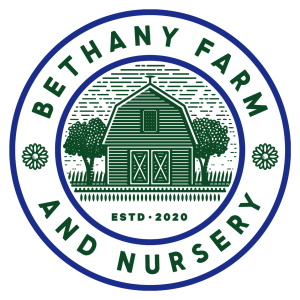 Bethany Farm and Nursery