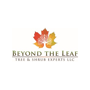 Beyond the Leaf Tree _ Shrub Experts LLC