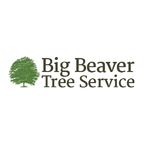 Big Beaver Tree Service