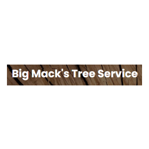 Big Mack_s Tree Service