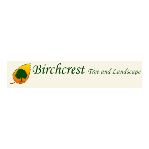 Birchcrest Tree and Landscape