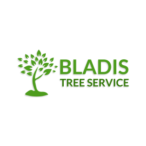 Bladi_s Tree Services