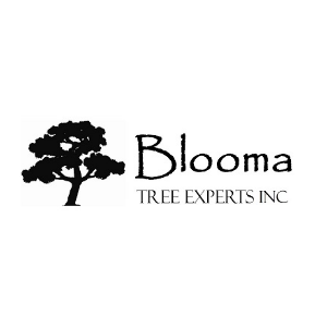 Blooma Tree Services and Landscaping