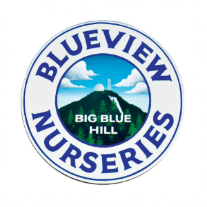 Blueville Nurseries