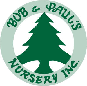 Bob _ Paul_s Nursery