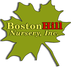 Boston Hill Nursery