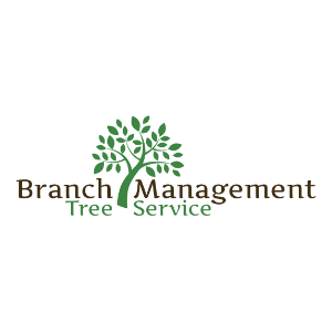 Branch Management Tree Service