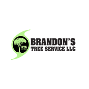Brandon's Tree Service LLC