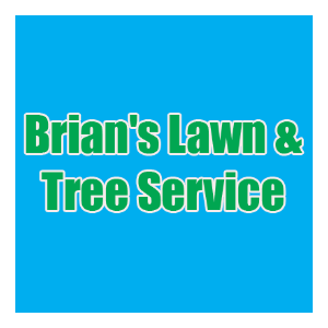 Brian_s Lawn _ Tree Service