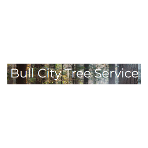 Bull City Tree Service