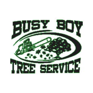 Busy Boy Tree Service