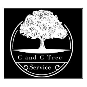C and C Tree Service