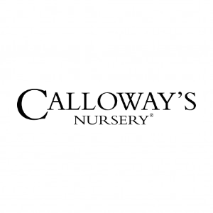 Calloway_s Nursery