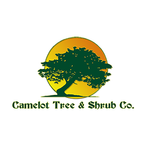 Camelot Tree _ Shrub Co.