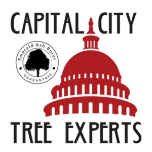 Capital City Tree Experts