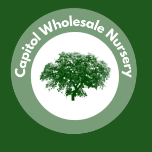 Capitol Wholesale Nursery