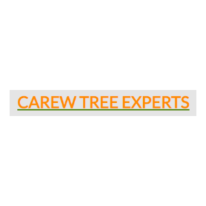 Carew Tree Experts