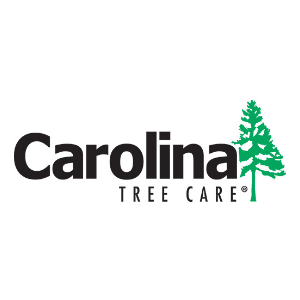 Carolina Tree Care