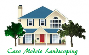 Casa Modelo Landscaping