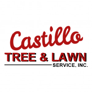 Castillo Tree And Lawn Sarasota