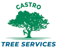 Castro Tree Service