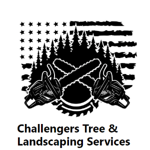 Challengers Tree _ Landscaping Service