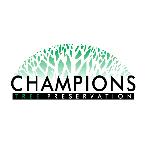 Champions Tree Preservation