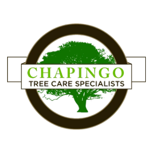 Chapingo Tree Care Specialists