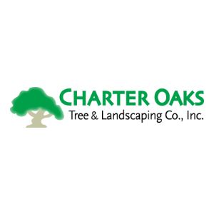 Charter Oaks Tree _ Landscaping Co., Inc.