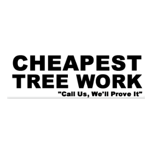 Cheapest Tree Work