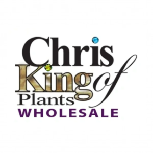 Chris King of Plants and Foliage