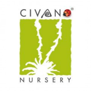 Civano Nursery
