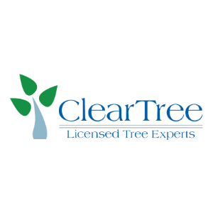 Clear Tree, LLC