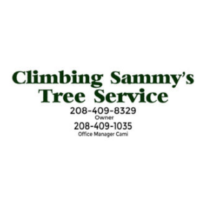 Climbing Sammy_s Tree Service
