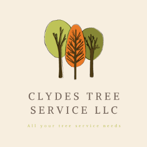 Clyde_s Tree Services