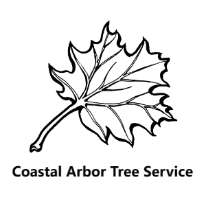 Coastal Arbor Tree Service, Inc.