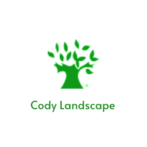 Cody Landscape