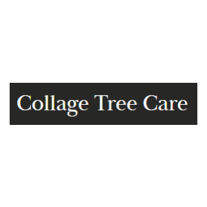 Collage Tree Care