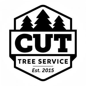 Cut-Tree-Service