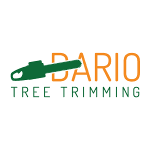 Dario Tree Trimming