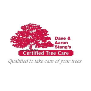 Dave-Aaron-Stang_s-Certified-Tree-Care
