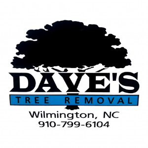 Dave_s Tree Removal