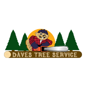 Daves Tree Service