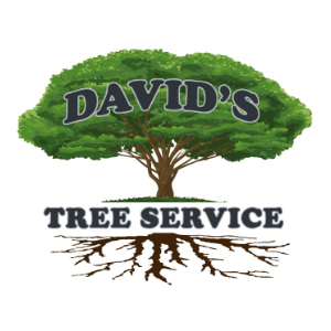 David_s Tree Service
