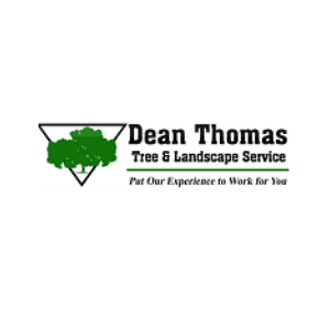 Dean Thomas Tree Services