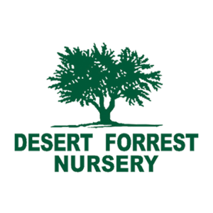 Desert Forest Nursery